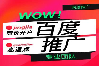 百度广告投放策略：成功案例解析